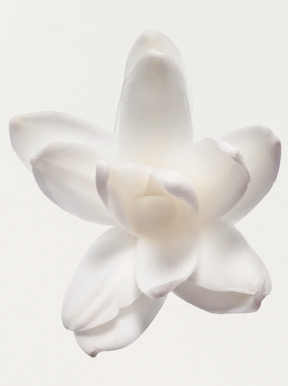 GARDÉNIA EAU DE PARFUM