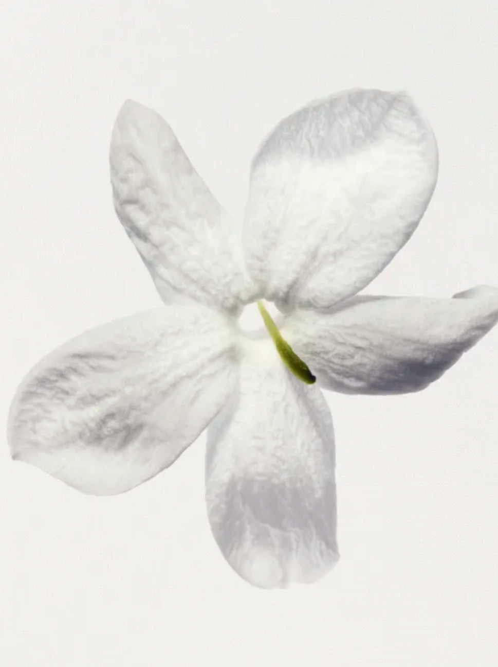GARDÉNIA EAU DE PARFUM